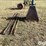 electric-single-speed-horse-walker-image-8