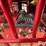 case-ih-1660-image-11