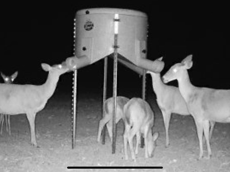 #8052-•-uncle-dans-deer-feeder-image-1