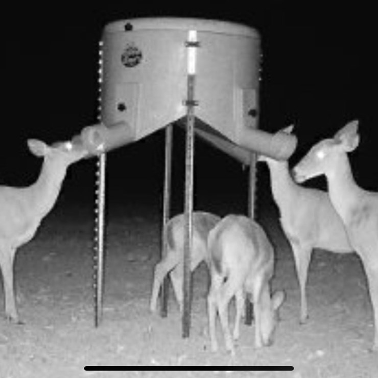 #8052 • UNCLE DANS DEER FEEDER