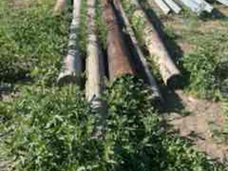 **sold-onsite-only---no-online-bids-will-be-accepted**-livestock-equipment-image-3