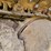 caterpillar-d4d-image-67