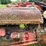 ford-9n-image-11