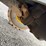 2016-gehl-rs5-19-image-28