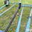 allied-51’-grain-auger-image-16