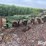 john-deere-5-image-1