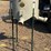 #8049-•-uncle-dans-deer-feeder-image-4