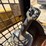 2016-caterpillar-259d-image-31