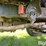 1987-ford-l8000-image-15
