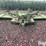 john-deere-15-image-2