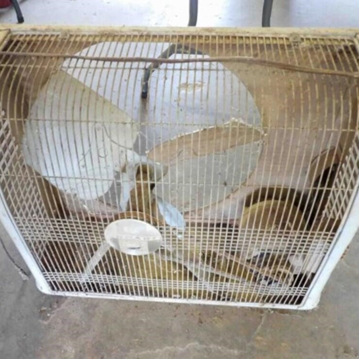 Shop/Box Fan, 20" Fan, 27 x 22