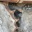 2020-komatsu-pc360-lc-11-image-16