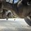 2000-kenworth-w900-image-81