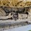 caterpillar-d4d-image-72
