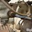 bridgeport-mill-image-20