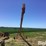 westfield-100-61-auger-image-6