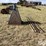 electric-single-speed-horse-walker-image-4