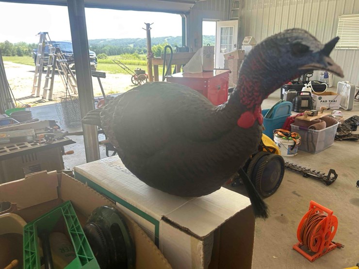 love-triangle-flock-turkey-decoys-image-2