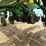 john-deere-1770nt-image-13