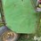john-deere-harvest-forage-wagon-image-14