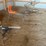 trap-throwers-image-1