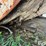 15,000-gallon-(approx.)-steel-liquid-feed-storage-tank-image-7