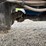 2019-genie-gth5519-image-22