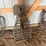 tree-stands-image-4