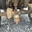 #26-•-honda-rancher-atv-vin:-1hftfe240054404264-inv#:-25909-image-12