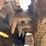 caterpillar-279d3-image-12