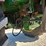 john-deere-2130-image-85
