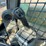 2016-caterpillar-259d-image-25