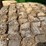 brent-544-image-8