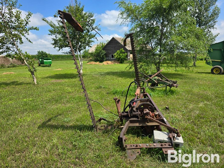 international-7-image-2
