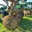 john-deere-637-image-6