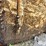 7,000-gallon-(approx.)-fiberglass-liquid-feed-storage-tank-image-11
