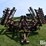 international-490-image-2