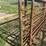 **sold-onsite-only---no-online-bids-will-be-accepted**-livestock-equipment-image-17