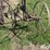 horse-drawn-cultivator-image-10