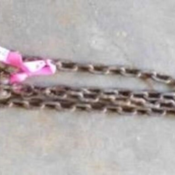 14' Chain w/ 1 Hook