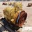 (5-191)-cat-725-transmission,-s/n-ddb00315,-&-gear-image-2