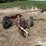 international-1100-image-2