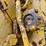 caterpillar-d4d-image-105