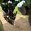 john-deere-1770nt-image-15