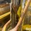 2019-john-deere-772-image-13