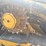 caterpillar-299d3-image-19
