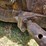 caterpillar-d4d-image-89