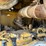 2017-caterpillar-d6k2-lgp-image-55
