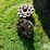 case-ih-7120-18.4r42-tires,-rims-&-10-bolt-dual-hubs-image-17
