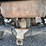 2007-kawasaki-mule-3010-image-11